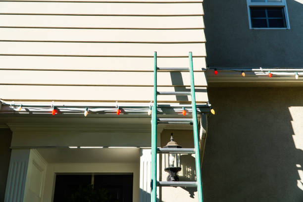 How To Choose The Right Materials for Your Siding Installation in 'Penitas, TX